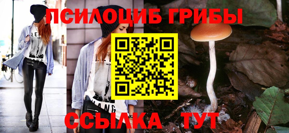 Псилоцибиновые грибы MAGIC MUSHROOMS Семёнов